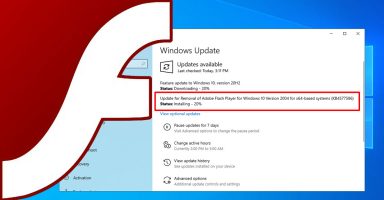 Windows 10 Removal of Adobe Flash Player